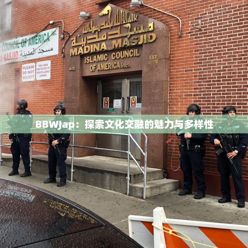BBWJap：探索文化交融的魅力与多样性