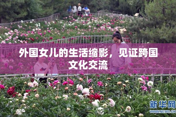 外国女儿的生活缩影，见证跨国文化交流