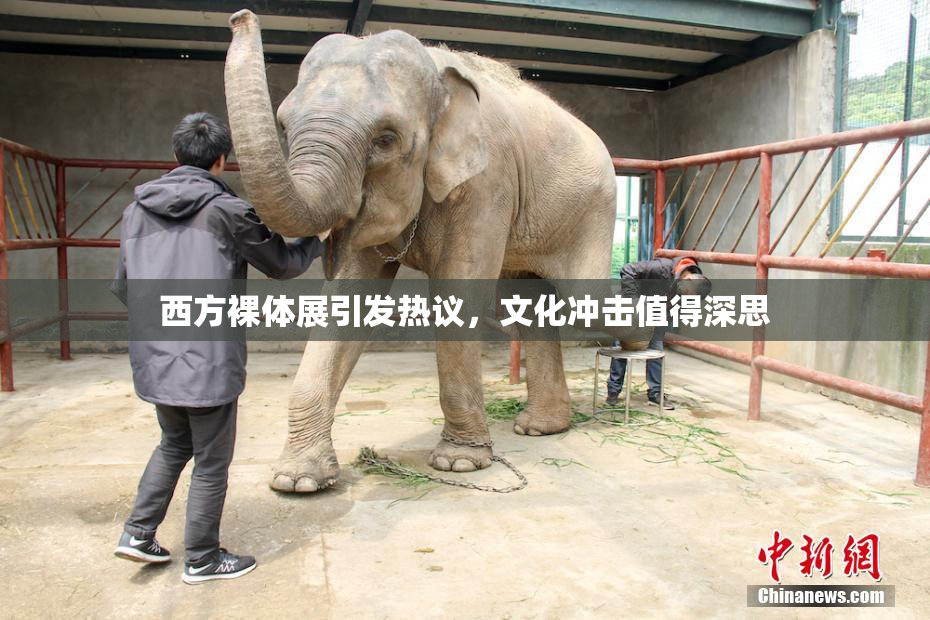 西方裸体展引发热议，文化冲击值得深思