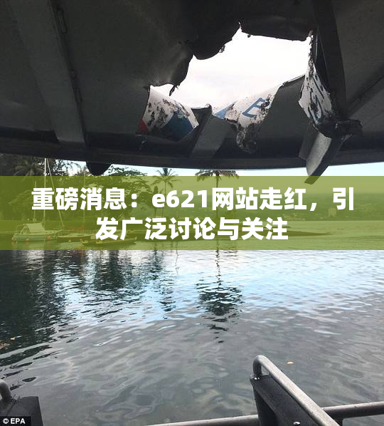 重磅消息：e621网站走红，引发广泛讨论与关注