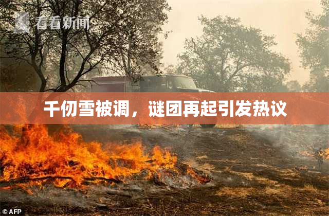 千仞雪被调，谜团再起引发热议