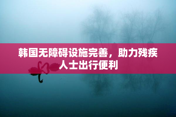 韩国无障碍设施完善，助力残疾人士出行便利