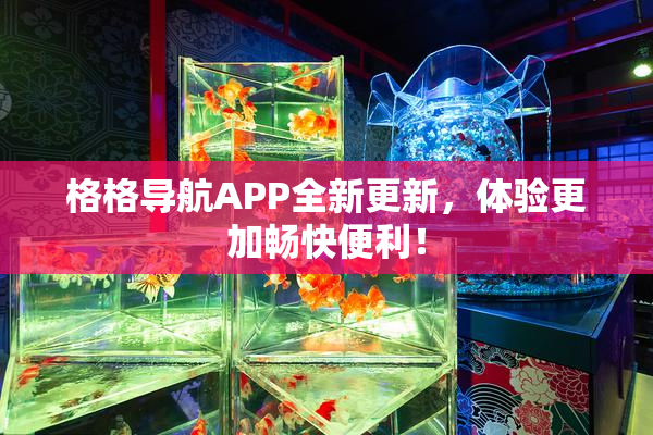 格格导航APP全新更新，体验更加畅快便利！