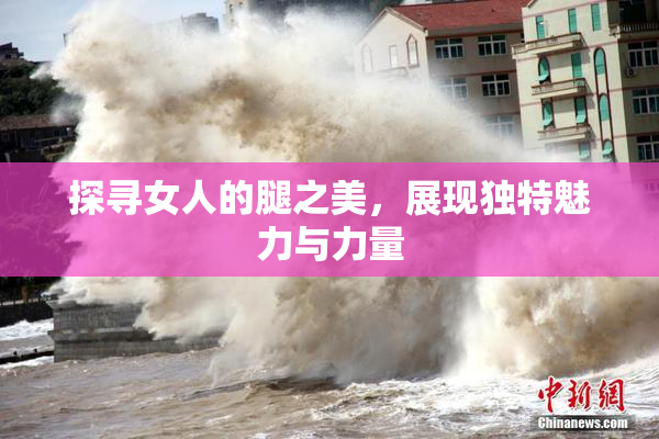 探寻女人的腿之美，展现独特魅力与力量