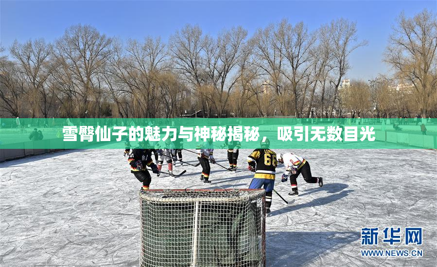 雪臀仙子的魅力与神秘揭秘，吸引无数目光