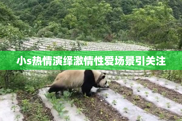 小s热情演绎激情性爱场景引关注