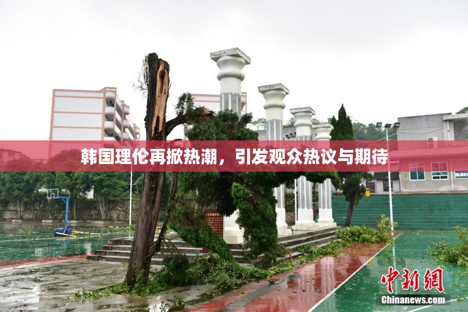 韩国理伦再掀热潮，引发观众热议与期待