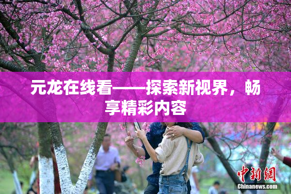 元龙在线看——探索新视界，畅享精彩内容