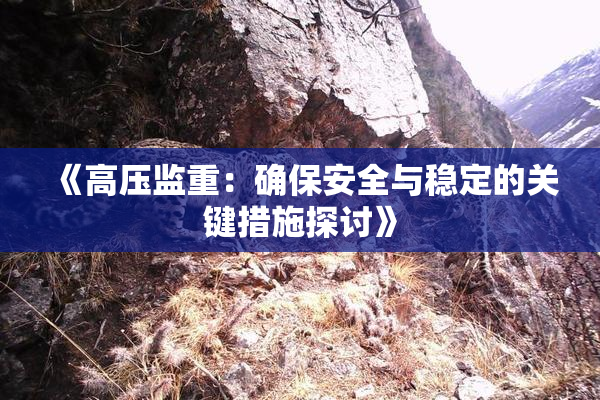 《高压监重：确保安全与稳定的关键措施探讨》