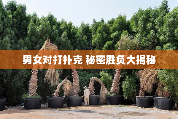 男女对打扑克 秘密胜负大揭秘