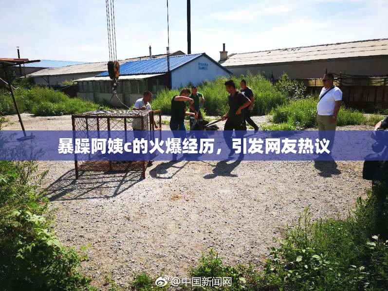暴躁阿姨c的火爆经历，引发网友热议