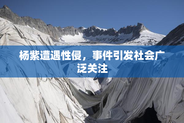 杨紫遭遇性侵，事件引发社会广泛关注