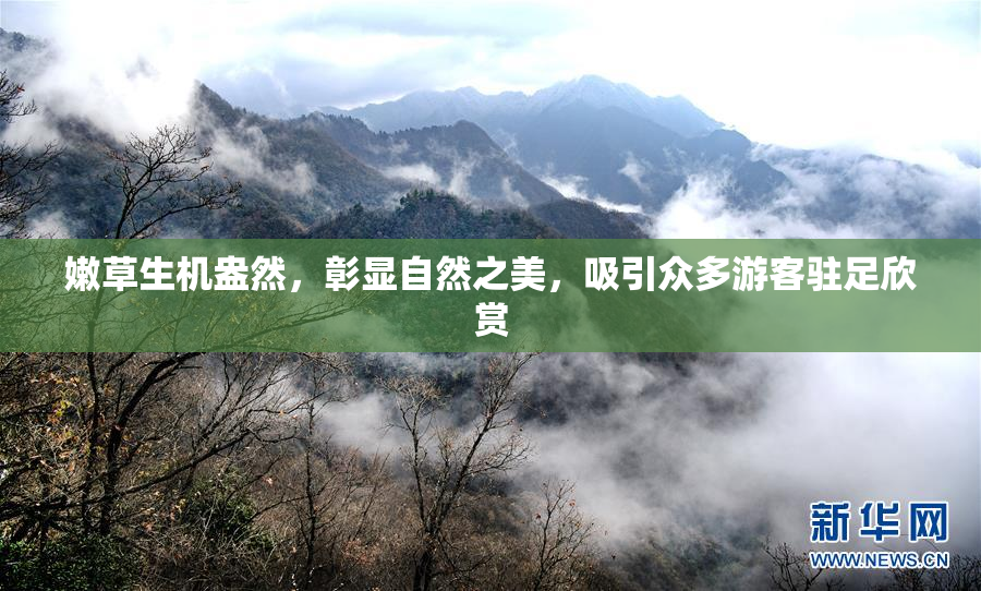 嫩草生机盎然，彰显自然之美，吸引众多游客驻足欣赏