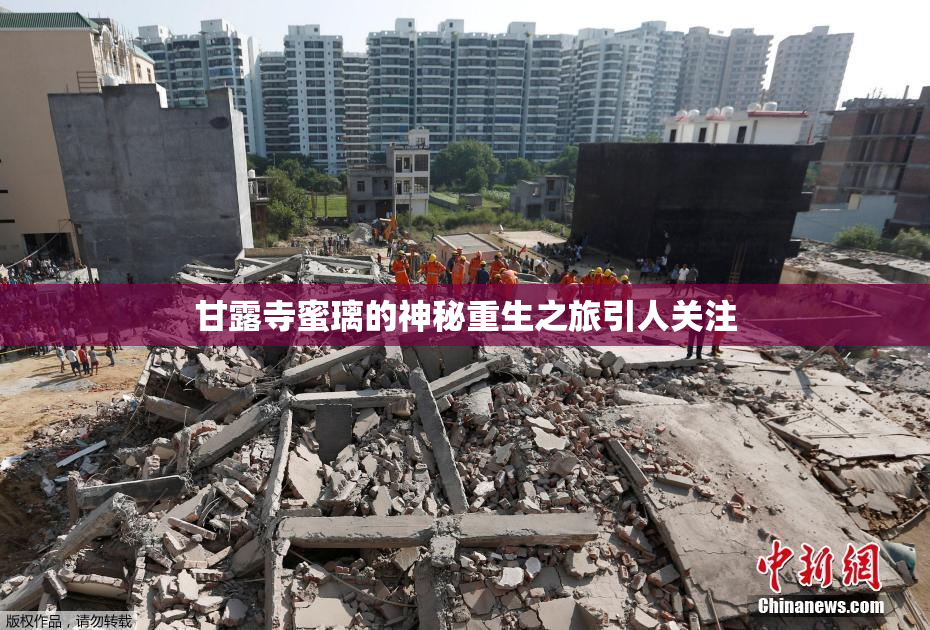 甘露寺蜜璃的神秘重生之旅引人关注