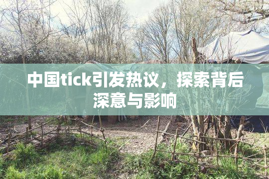 中国tick引发热议，探索背后深意与影响