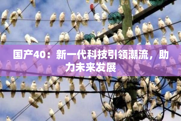 国产40：新一代科技引领潮流，助力未来发展
