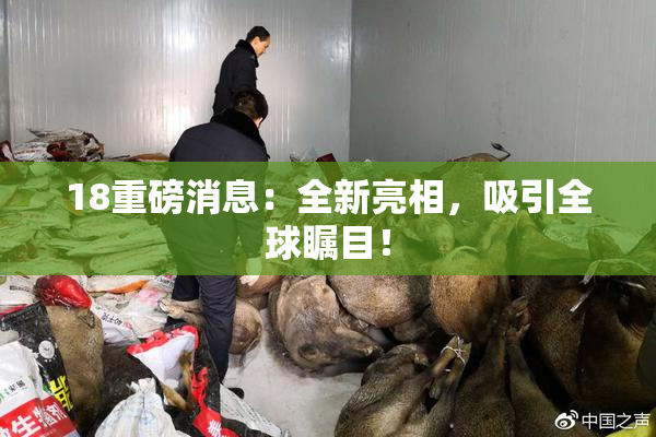 18重磅消息：全新亮相，吸引全球瞩目！