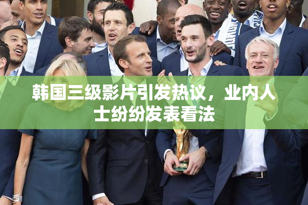 韩国三级影片引发热议，业内人士纷纷发表看法