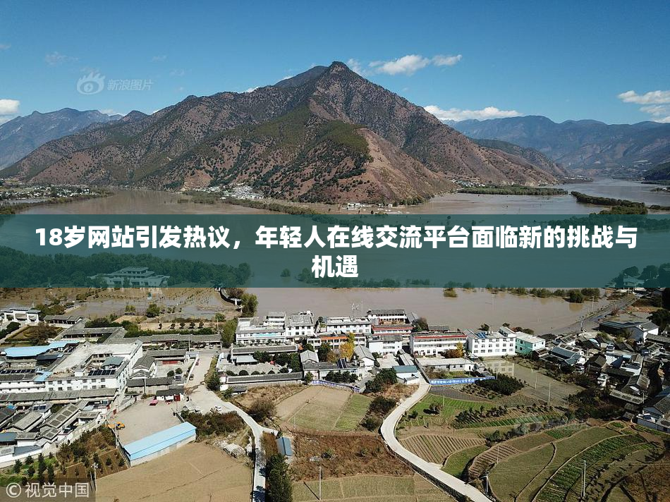 18岁网站引发热议，年轻人在线交流平台面临新的挑战与机遇