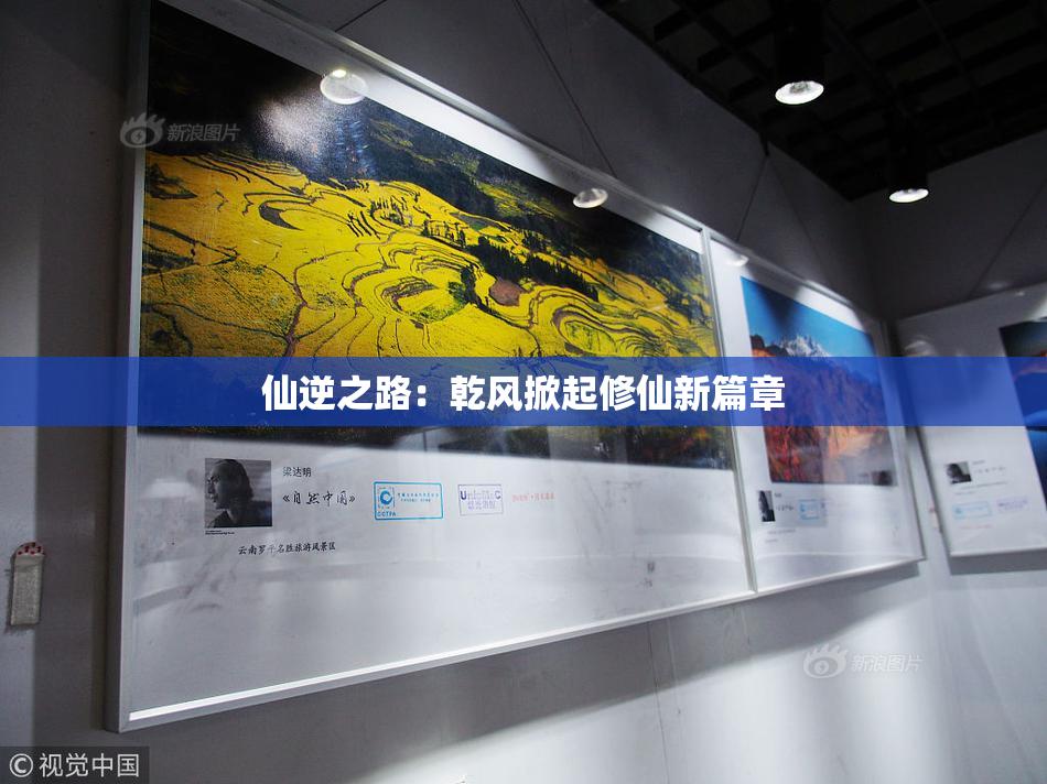 仙逆之路：乾风掀起修仙新篇章