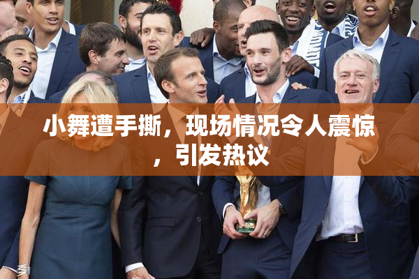 小舞遭手撕，现场情况令人震惊，引发热议