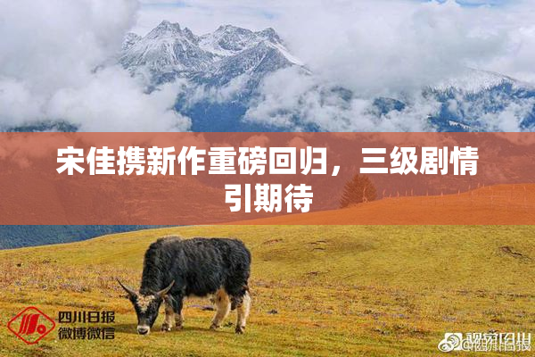 宋佳携新作重磅回归，三级剧情引期待