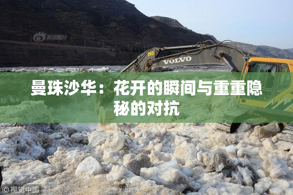 曼珠沙华：花开的瞬间与重重隐秘的对抗