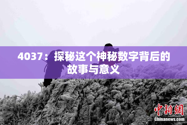 4037：探秘这个神秘数字背后的故事与意义