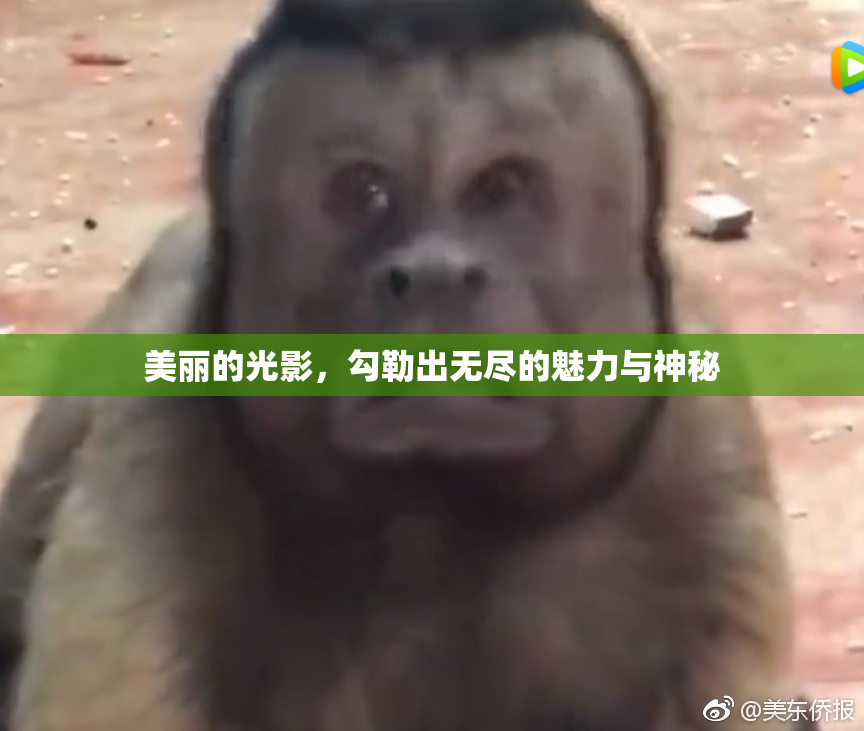 美丽的光影，勾勒出无尽的魅力与神秘