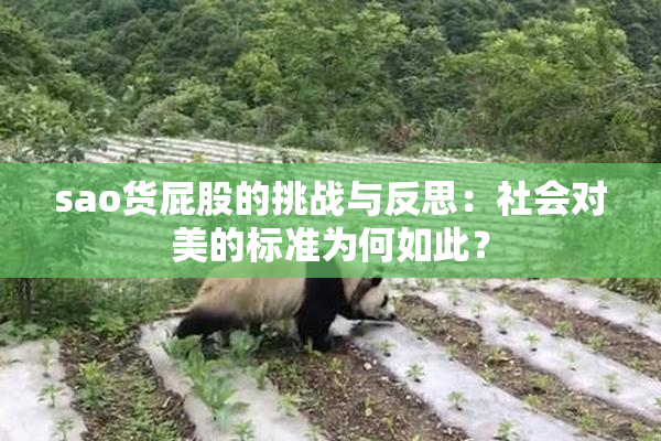 sao货屁股的挑战与反思：社会对美的标准为何如此？
