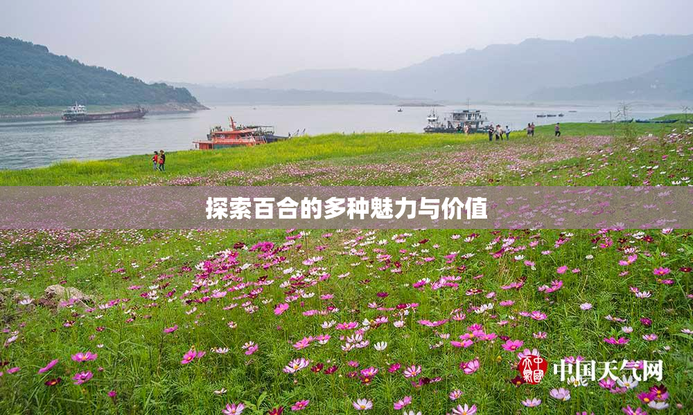 探索百合的多种魅力与价值