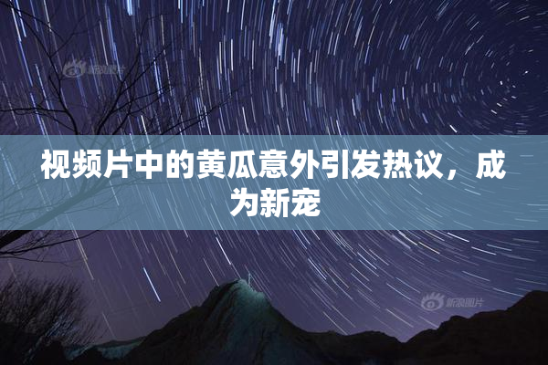 视频片中的黄瓜意外引发热议，成为新宠