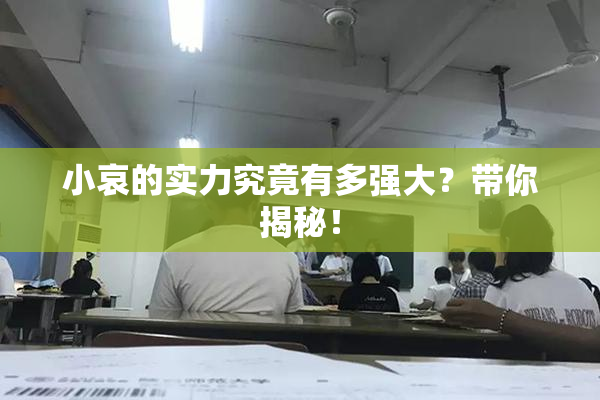 小哀的实力究竟有多强大？带你揭秘！