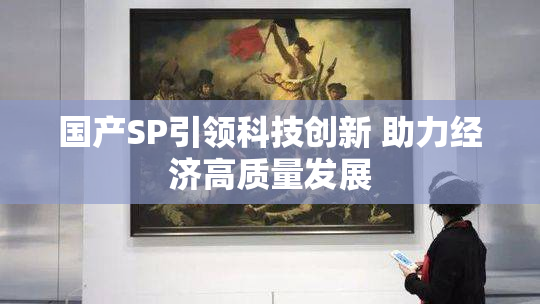 国产SP引领科技创新 助力经济高质量发展