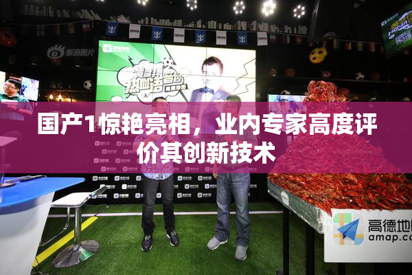 国产1惊艳亮相，业内专家高度评价其创新技术