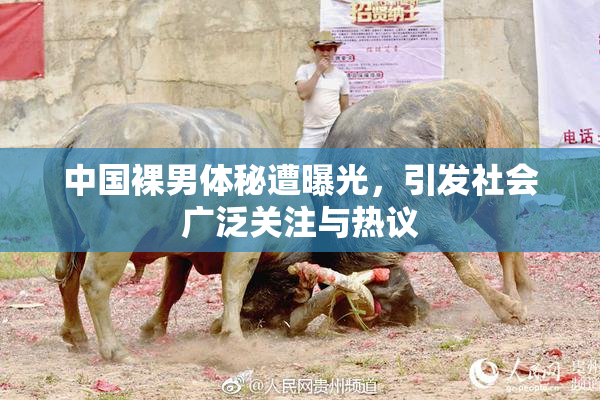 中国裸男体秘遭曝光，引发社会广泛关注与热议