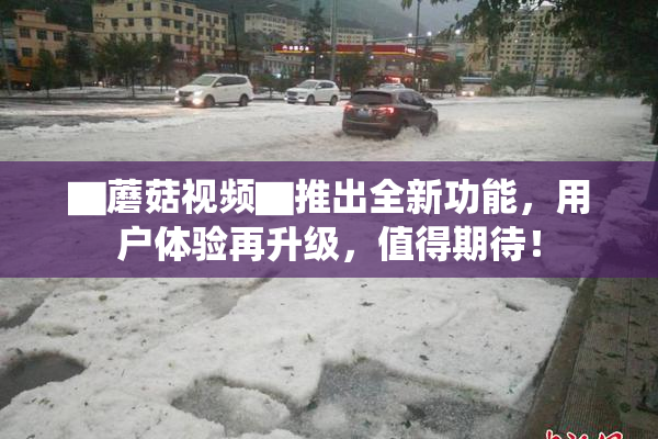 ▇蘑菇视频▇推出全新功能，用户体验再升级，值得期待！