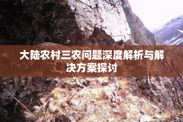 大陆农村三农问题深度解析与解决方案探讨