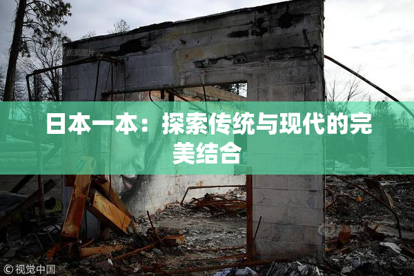 日本一本：探索传统与现代的完美结合