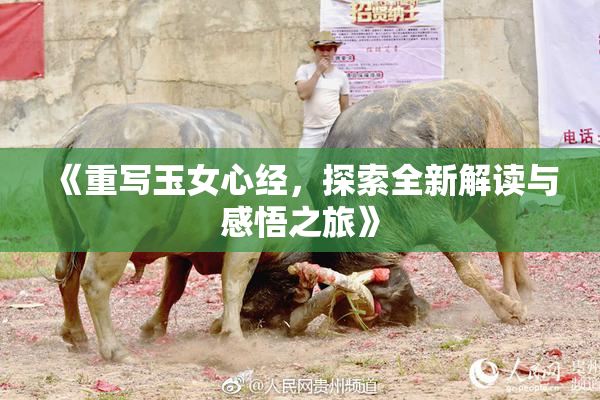 《重写玉女心经，探索全新解读与感悟之旅》