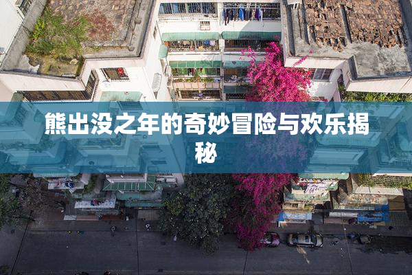 熊出没之年的奇妙冒险与欢乐揭秘
