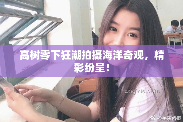 高树零下狂潮拍摄海洋奇观，精彩纷呈！