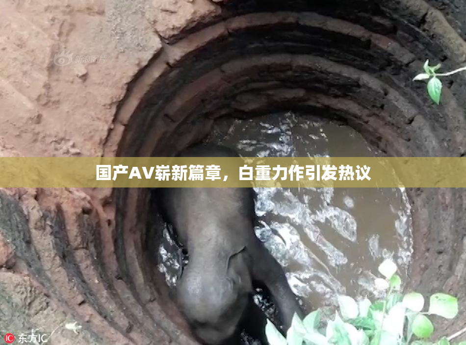 国产AV崭新篇章，白重力作引发热议