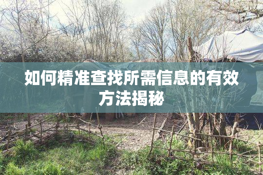 如何精准查找所需信息的有效方法揭秘