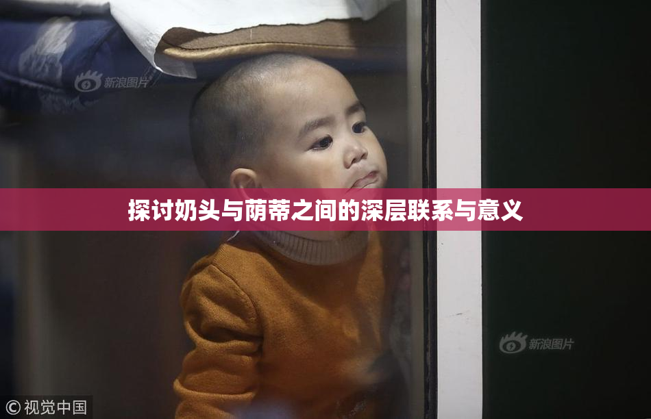 探讨奶头与荫蒂之间的深层联系与意义