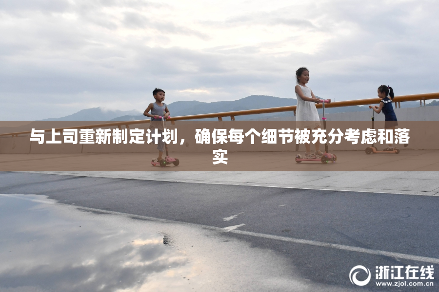 与上司重新制定计划，确保每个细节被充分考虑和落实