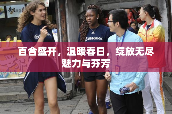 百合盛开，温暖春日，绽放无尽魅力与芬芳