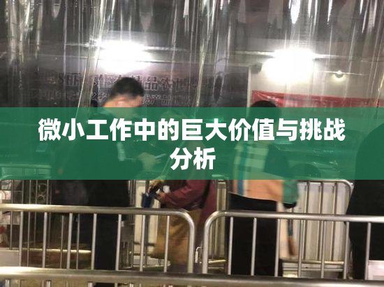 微小工作中的巨大价值与挑战分析