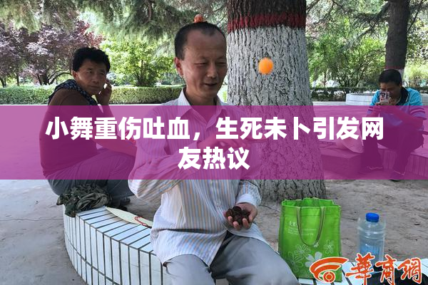小舞重伤吐血，生死未卜引发网友热议