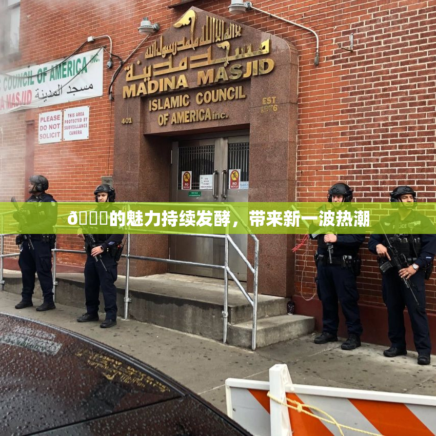 🈚的魅力持续发酵，带来新一波热潮